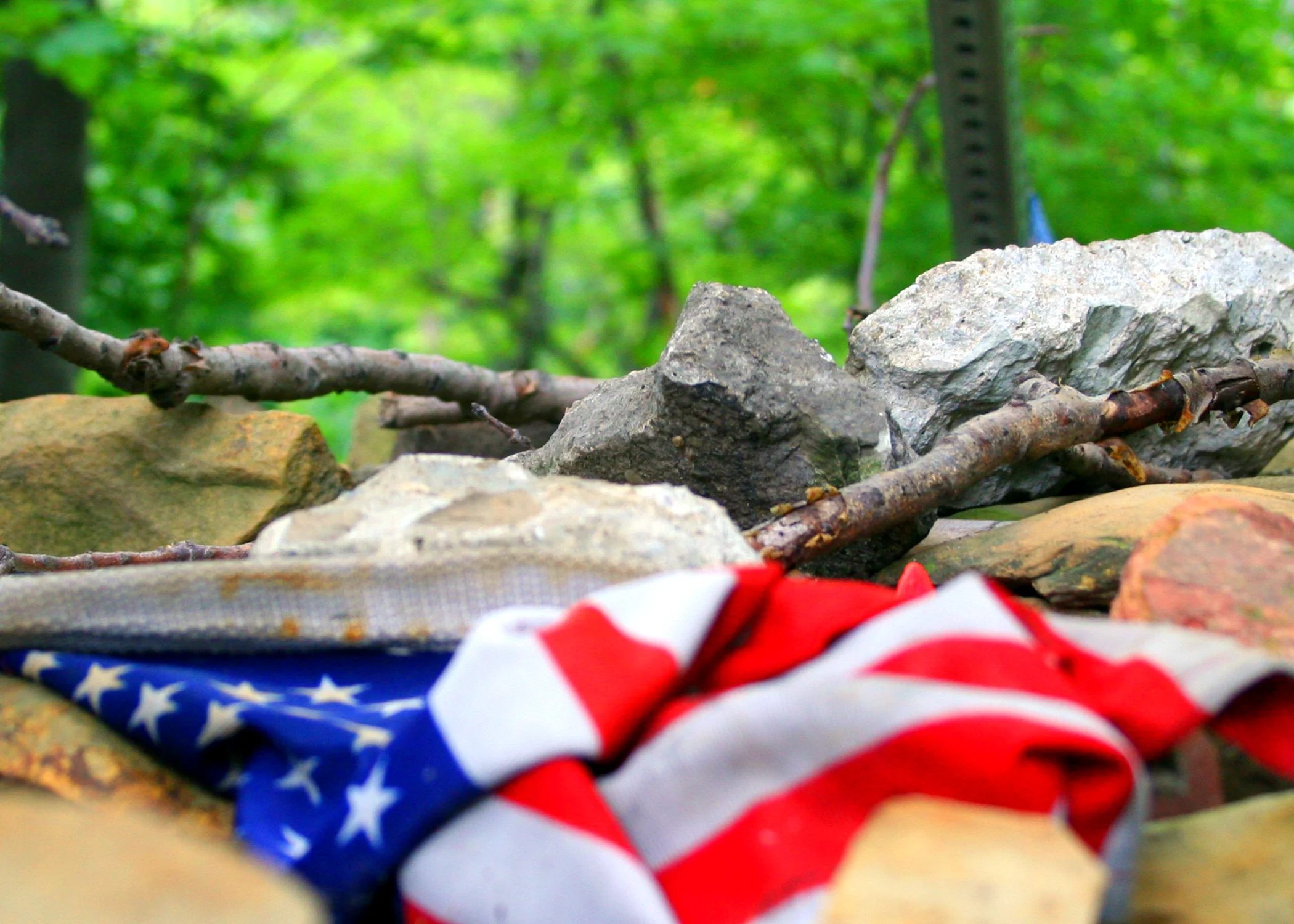 Americans Choose Cremation Services why do americans choose cremation